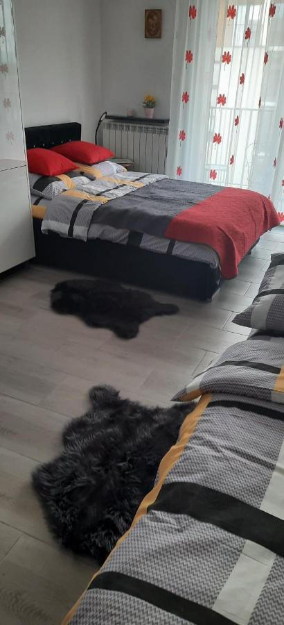 Apartament 59 Justi Zator Eksteriør bilde